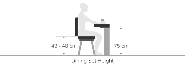 Diagram Illustrating the Standard Height of Dining Chair and Dining Table
