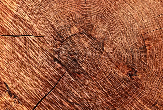 Materials Used in Chairs