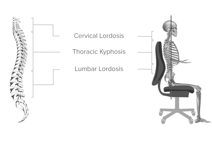 Office Chairs for Bad Backs