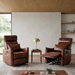 Recliner Chairs