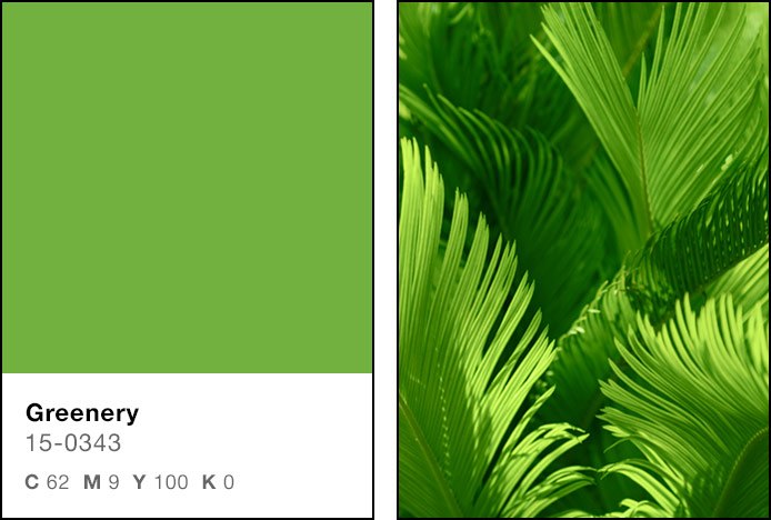 Greenery 2017 Pantone Colour Of The Year