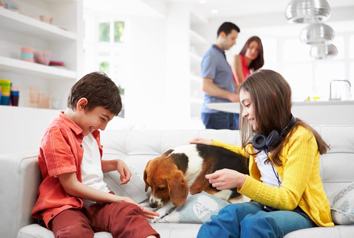 Dog And Family In Family Room