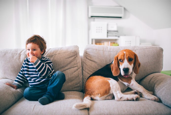 Young Boy And Dog In Family Room