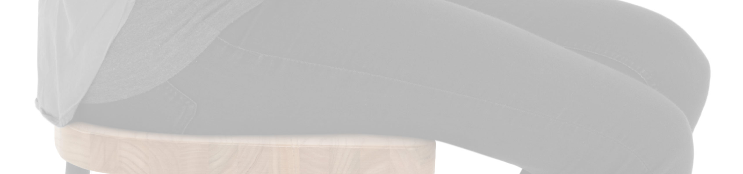 Finn Stool Review Banner